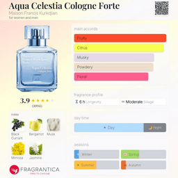 Acqua Celestia Forte Cologne view 3