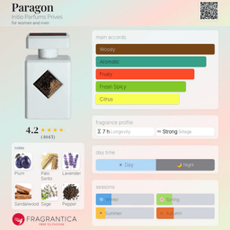 Paragon view 3