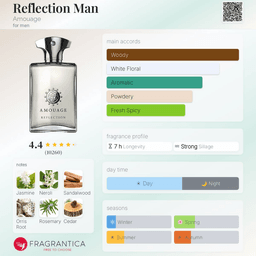 Reflection Man view 3