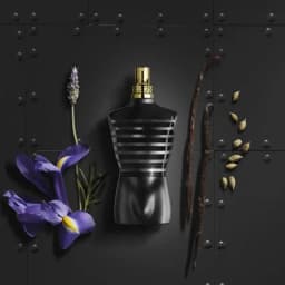 Le Male Le Parfum view 2
